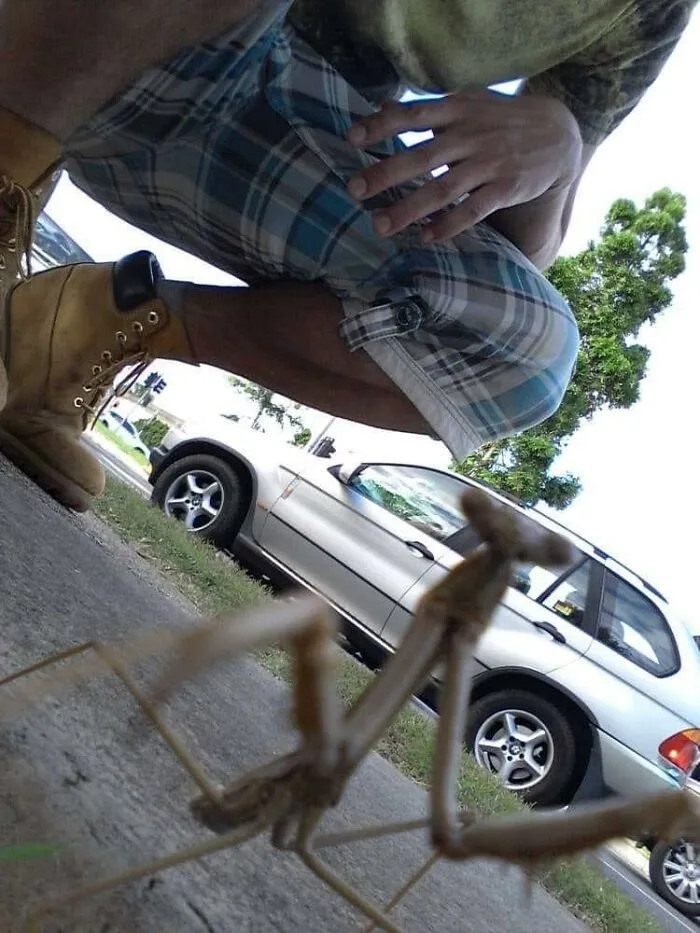 Fue hace unos años en Brisbane, Australia. Se emocionó tanto por el selfie que saltó al teléfono y se me cayó. Por un segundo pensé que nunca lo recuperaría