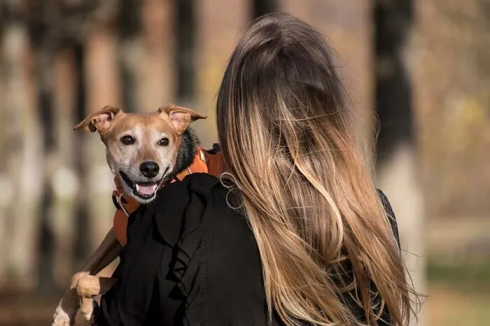 30 Veterinarians Share Things All Pet Owners Should Be Aware Of
