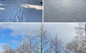 40 Pics Showing How Texas Is Dealing With The Coldest Weather In Over 30 Years