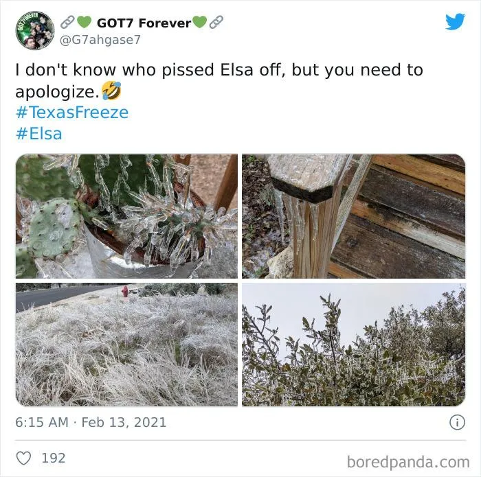 No sé quién ha cabreado a Elsa, pero tiene que disculparse