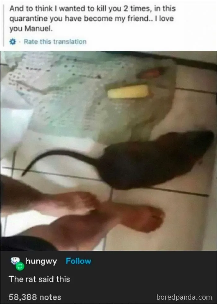 Cursed_manuel