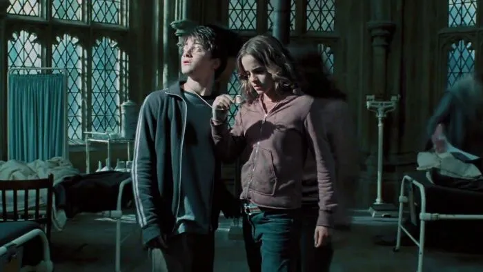 Harry Potter. Why Didn't They Just Use The Time-Turner To Go Back In Time And Defeat Voldemort?