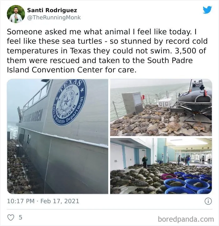 Texans Are Bringing Farm And Wild Animals Inside To Keep Them Warm During The Cold Wave (19 Pics)