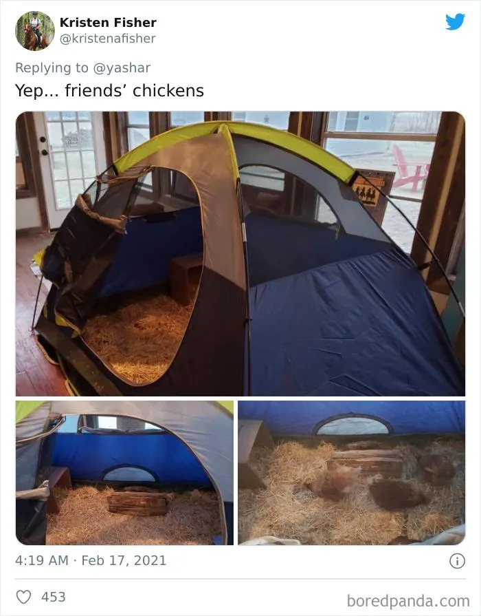 Texans Are Bringing Farm And Wild Animals Inside To Keep Them Warm During The Cold Wave (19 Pics)