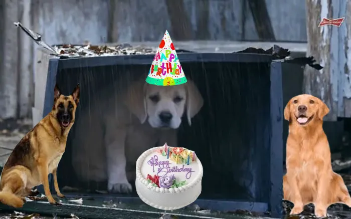 His Friends Planned A Surprise Party For Him!