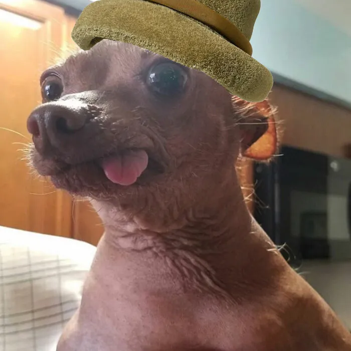 Hat Makes Him Cuter, But He's Already Cute Tho
