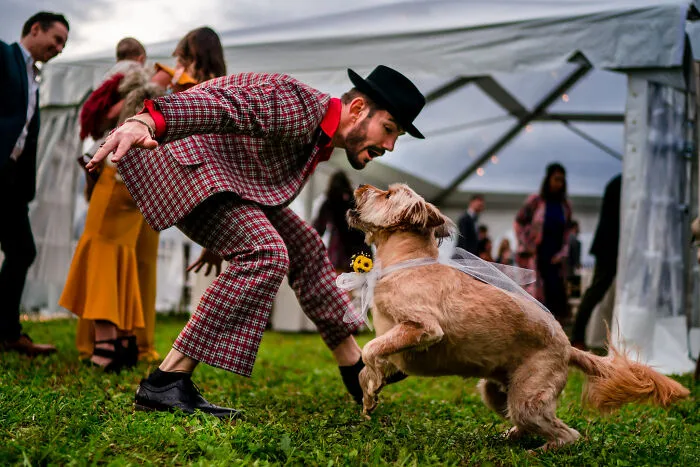 Dance With Me, Doggo!