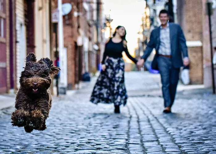 Photographer Catches Dog Frozen In Flight!