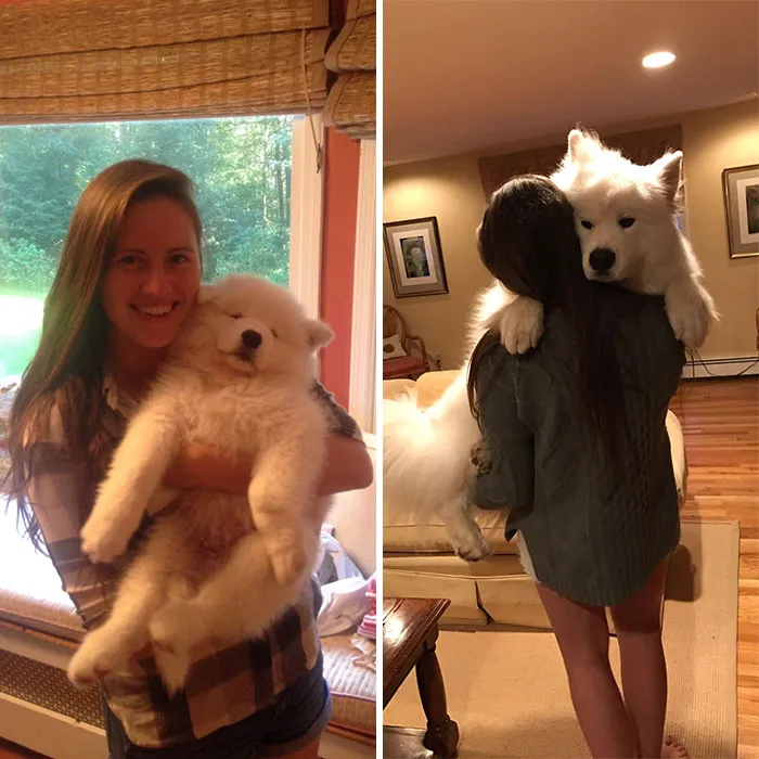 Still Loves Being Held