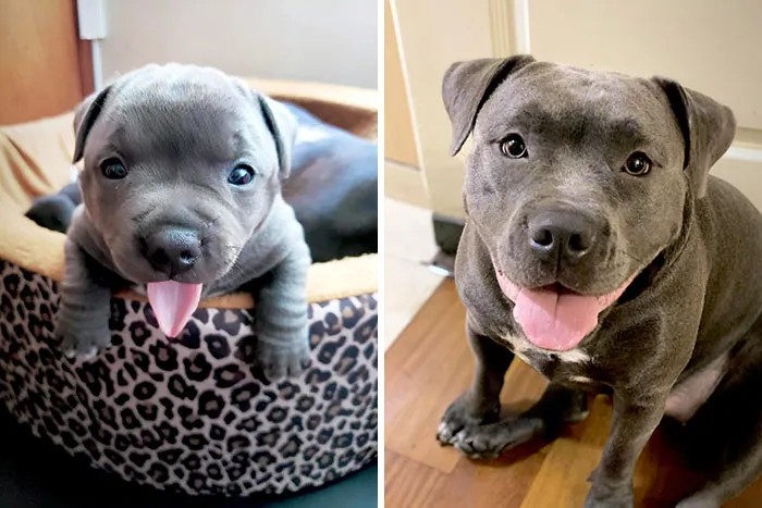 1 Year Later