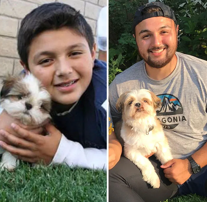 Wiggles And I 13+ Years Later