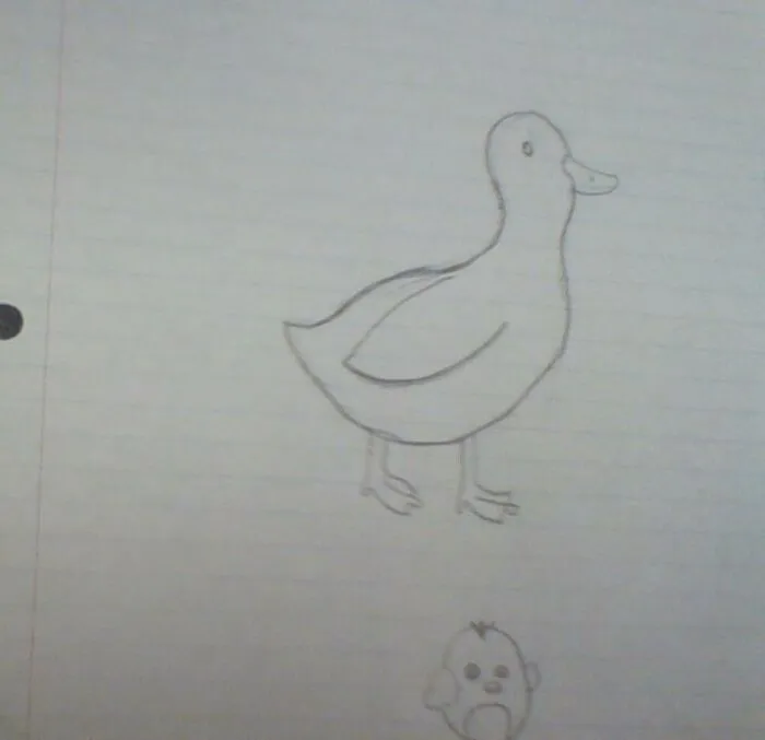 Two Weird Ducks