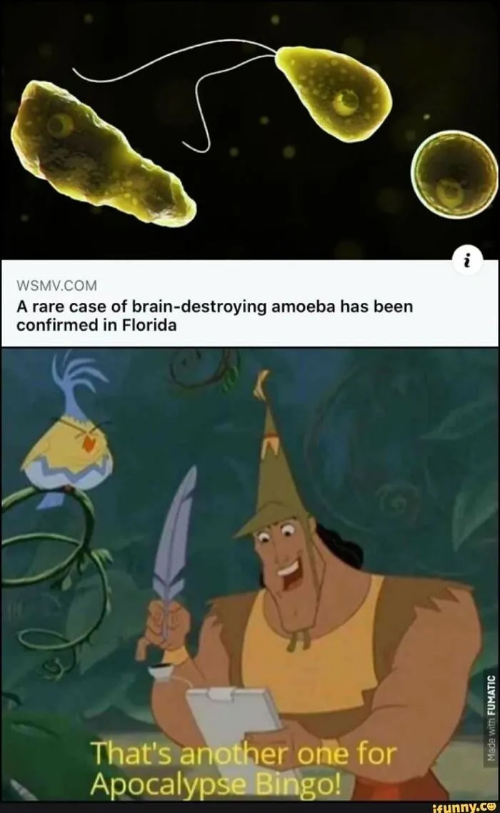 To Be Fair, It's Florida