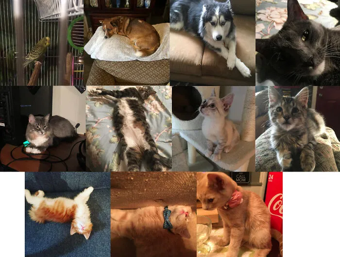 The Whole Crew