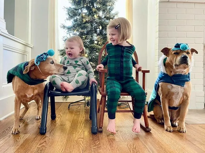 40 Of The Best Family Photos Featuring Dogs And Their Owners From Facebook’s #FamilyPortraitChallenge