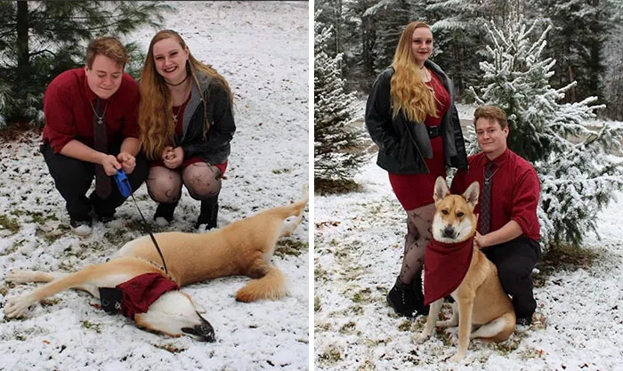 40 Of The Best Family Photos Featuring Dogs And Their Owners From Facebook’s #FamilyPortraitChallenge