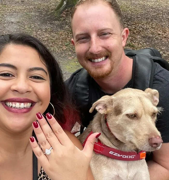 40 Of The Best Family Photos Featuring Dogs And Their Owners From Facebook’s #FamilyPortraitChallenge