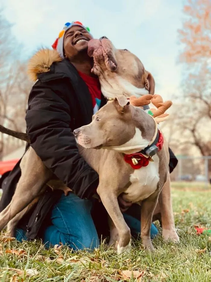 40 Of The Best Family Photos Featuring Dogs And Their Owners From Facebook’s #FamilyPortraitChallenge