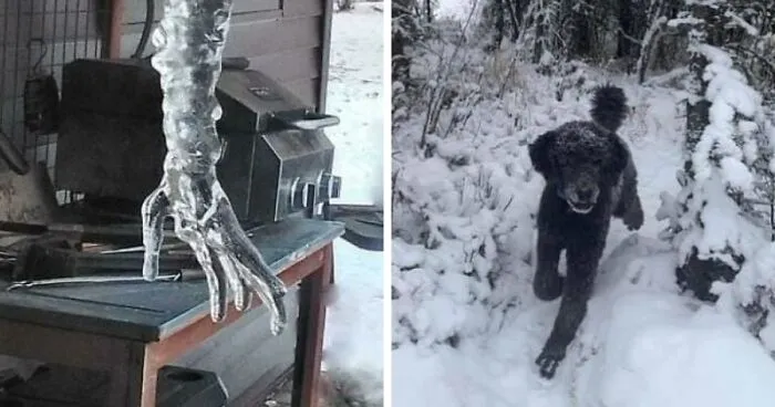 50 Times People Experienced A Serious Case Of Pareidolia And Documented It Online