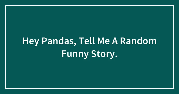 Hey Pandas, Tell Me A Random Funny Story.