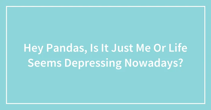 Hey Pandas, Is It Just Me Or Life Seems Depressing Nowadays? (Closed)