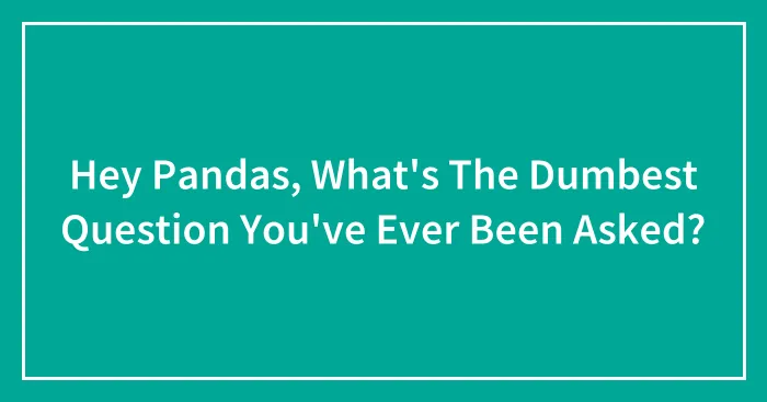 Hey Pandas, What's The Dumbest Question You've Ever Been Asked? (Closed)