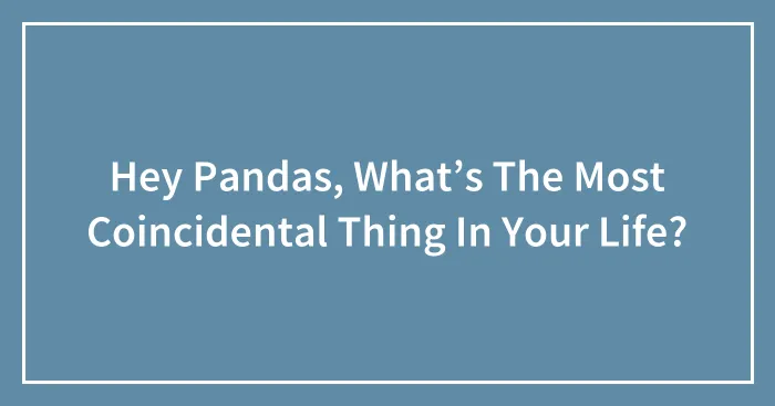 Hey Pandas, What’s The Most Coincidental Thing In Your Life? (Closed)
