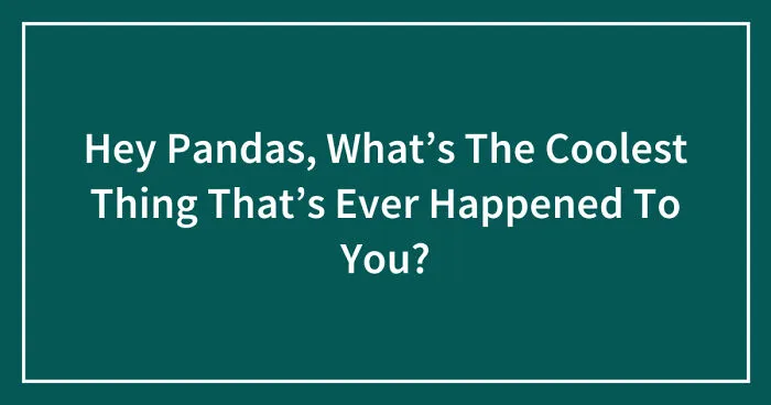 Hey Pandas, What’s The Coolest Thing That’s Ever Happened To You? (Closed)