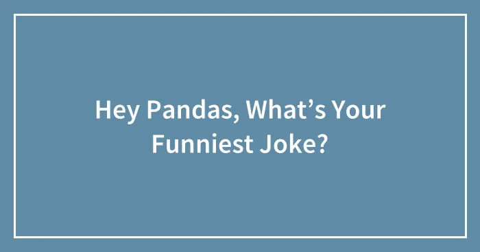 Hey Pandas, What’s Your Funniest Joke? (Closed)