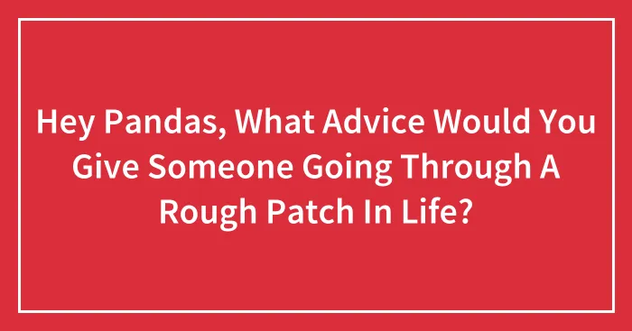 Hey Pandas, What Advice Would You Give Someone Going Through A Rough Patch In Life? (Closed)