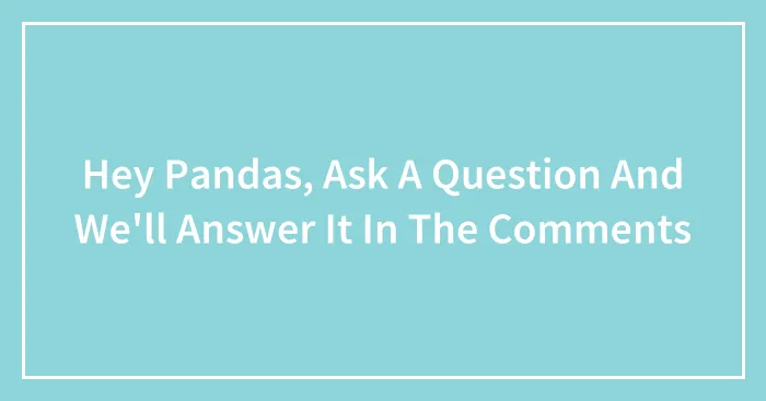 Hey Pandas, Ask A Question And We'll Answer It In The Comments (Closed)