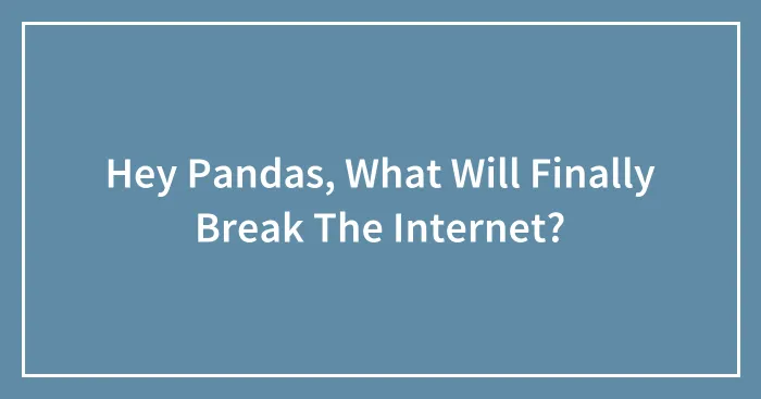 Hey Pandas, What Will Finally Break The Internet? (Closed)
