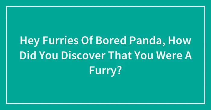 Hey Furries Of Bored Panda, How Did You Discover That You Were A Furry?