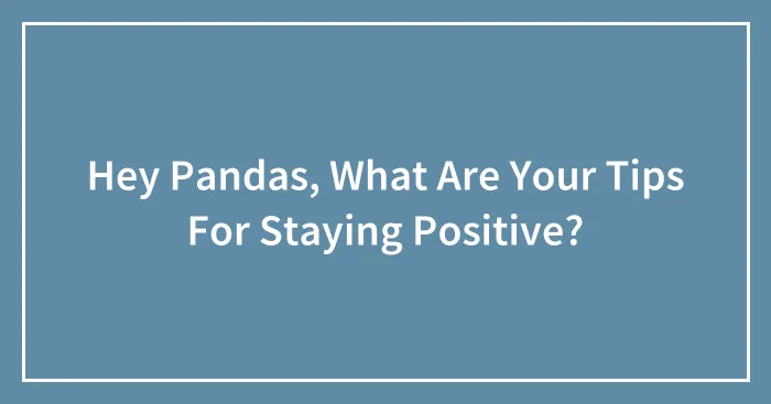 Hey Pandas, What Are Your Tips For Staying Positive? (Closed)