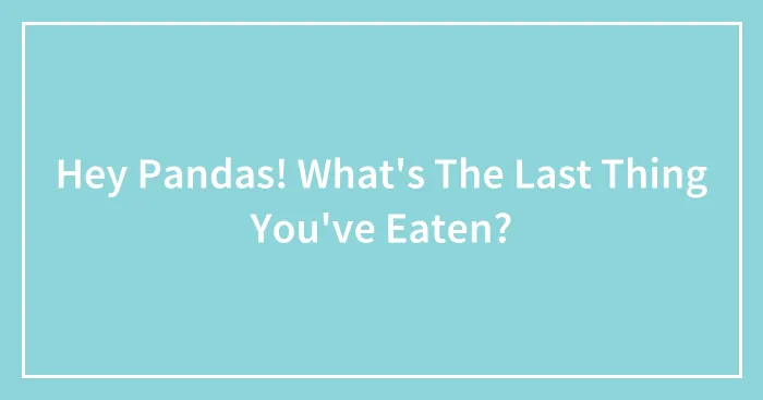 Hey Pandas! What's The Last Thing You've Eaten?