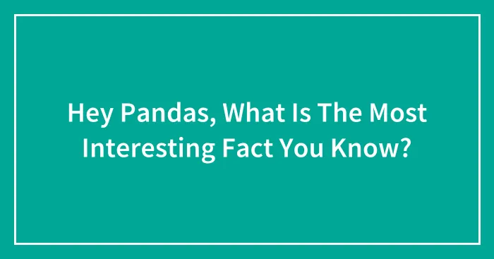 Hey Pandas, What Is The Most Interesting Fact You Know? (Closed)