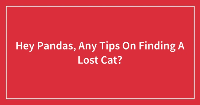 Hey Pandas, Any Tips On Finding A Lost Cat? (Closed)