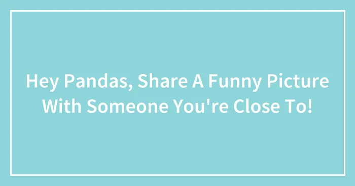 Hey Pandas, Share A Funny Picture With Someone You're Close To!