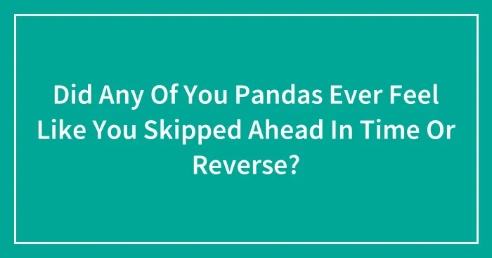 Did Any Of You Pandas Ever Feel Like You Skipped Ahead In Time Or Reverse?