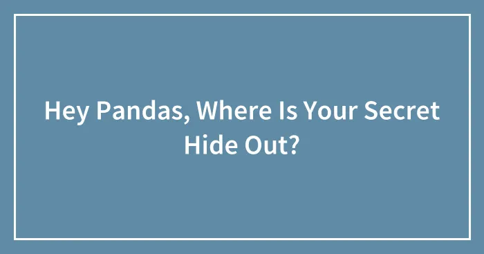 Hey Pandas, Where Is Your Secret Hide Out?