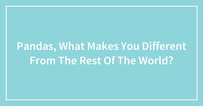 Pandas, What Makes You Different From The Rest Of The World? (Closed)