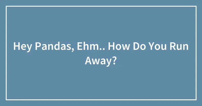 Hey Pandas, Ehm.. How Do You Run Away?