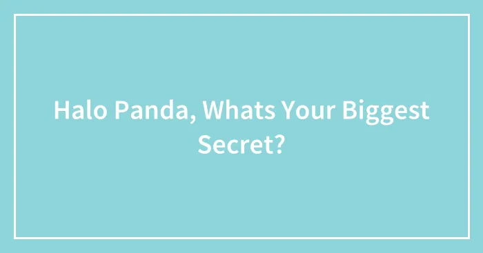 Halo Panda, Whats Your Biggest Secret?