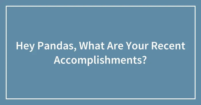 Hey Pandas, What Are Your Recent Accomplishments? (Closed)