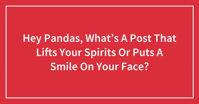 Hey Pandas, What’s A Post That Lifts Your Spirits Or Puts A Smile On Your Face? (Closed)