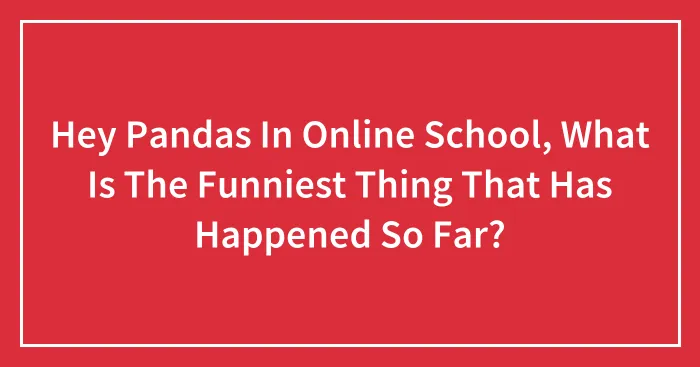 Hey Pandas In Online School, What Is The Funniest Thing That Has Happened So Far? (Closed)