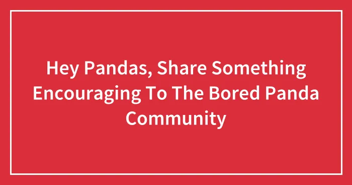 Hey Pandas, Share Something Encouraging To The Bored Panda Community (Closed)
