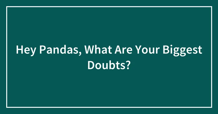 Hey Pandas, What Are Your Biggest Doubts? (Closed)
