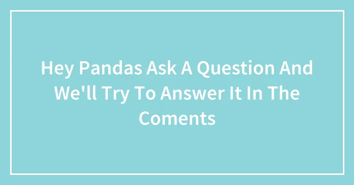 Hey Pandas Ask A Question And We'll Try To Answer It In The Coments