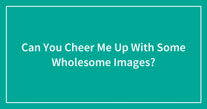 Can You Cheer Me Up With Some Wholesome Images?